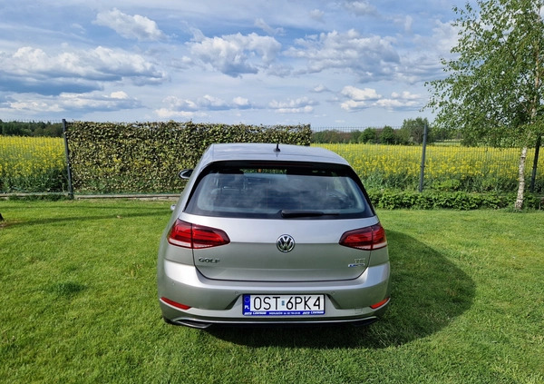 Volkswagen Golf cena 72000 przebieg: 32000, rok produkcji 2017 z Ciechanowiec małe 742